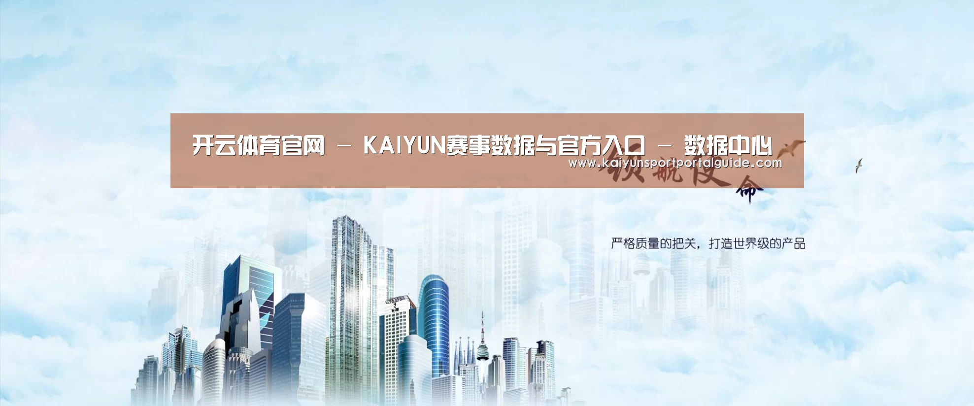 开云体育官网公司