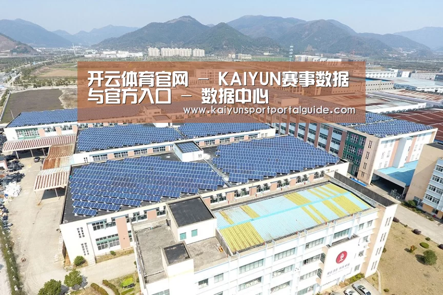 案例展示四