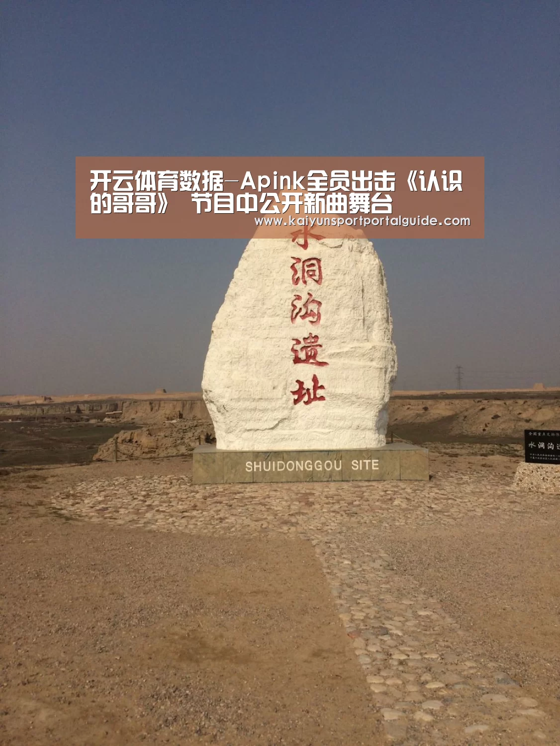开云体育官网
