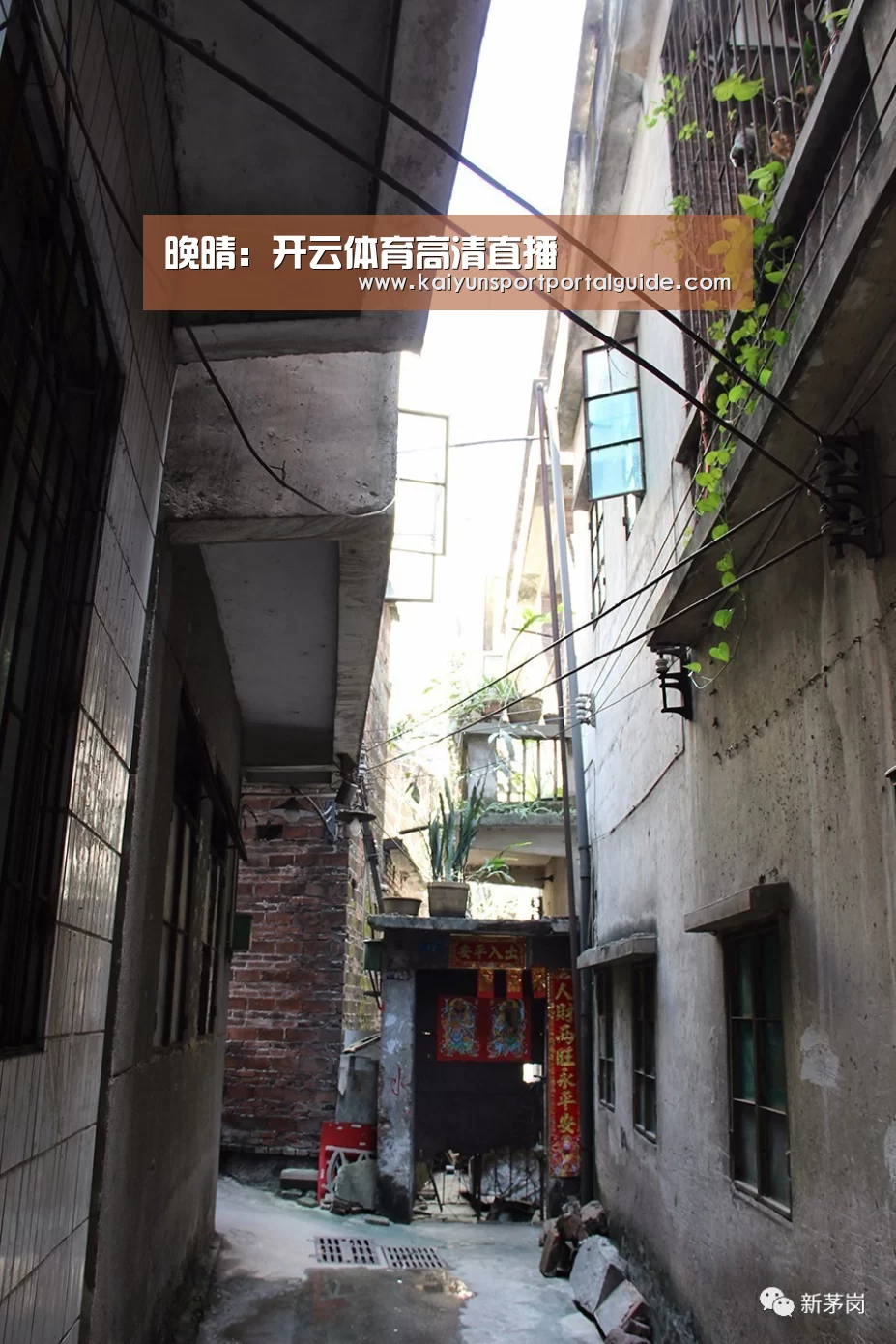 开云体育官网