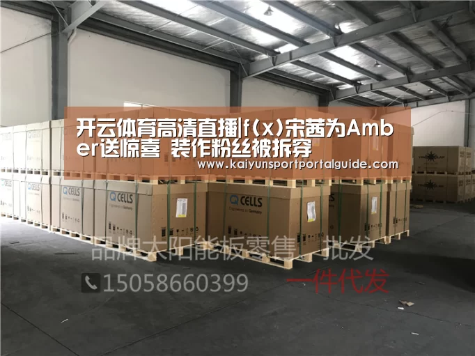开云体育高清直播|f(x)宋茜为Amber送惊喜 装作粉丝被拆穿(图1) 开云体育高清直播