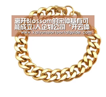 开云体育官网